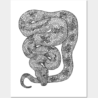 Mosaic Black and White Python Posters and Art